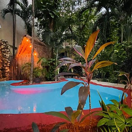 Hotel B&B - 5Th Avenue Playa del Carmen Eksteriør billede The swimming pool at the hotel