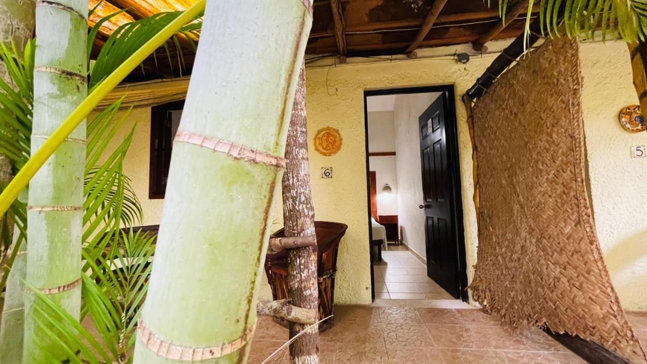 Hotel B&B - 5Th Avenue Playa del Carmen Eksteriør billede A room at the hotel