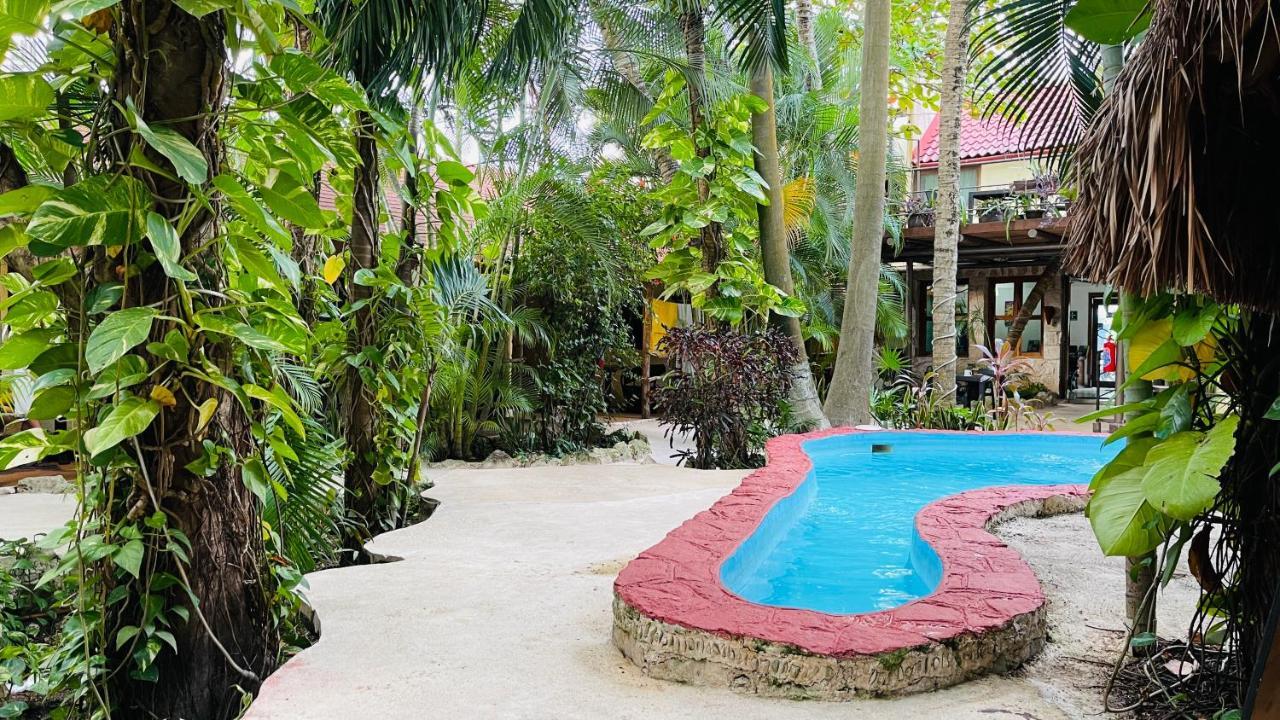 Hotel B&B - 5Th Avenue Playa del Carmen Eksteriør billede The pool at the Jungle Island Resort