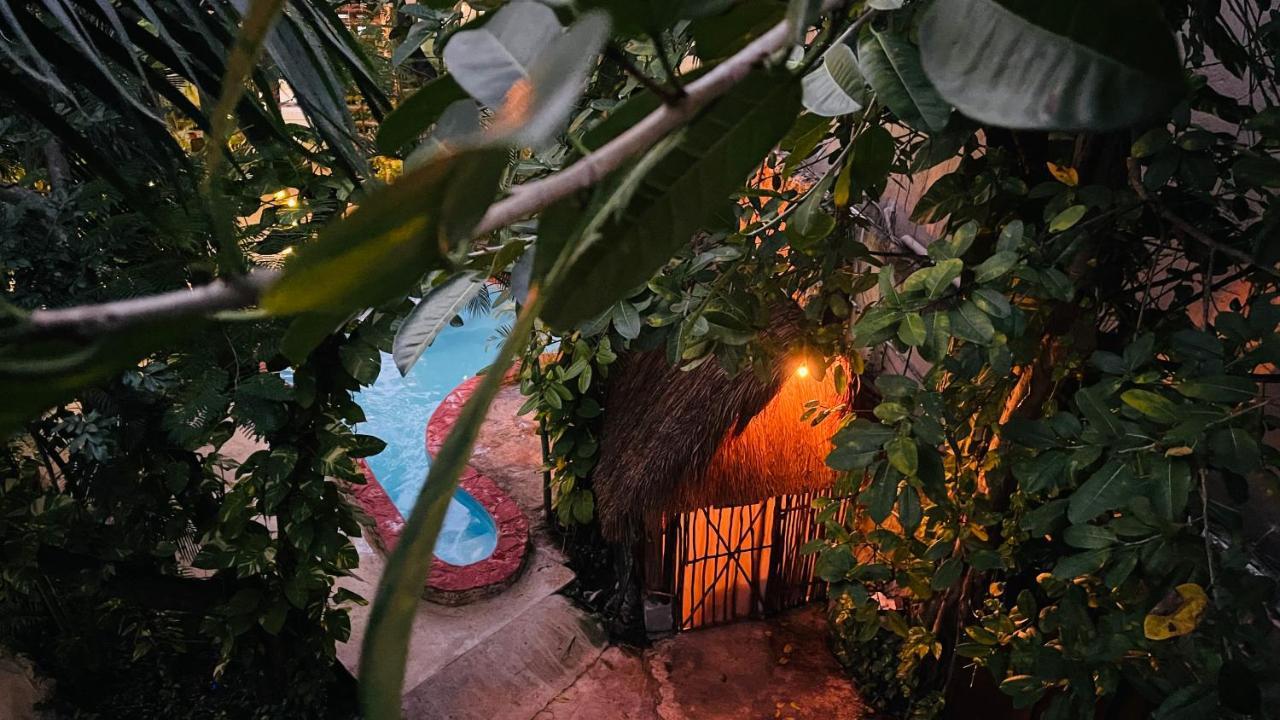Hotel B&B - 5Th Avenue Playa del Carmen Eksteriør billede Entrance to the Jungle