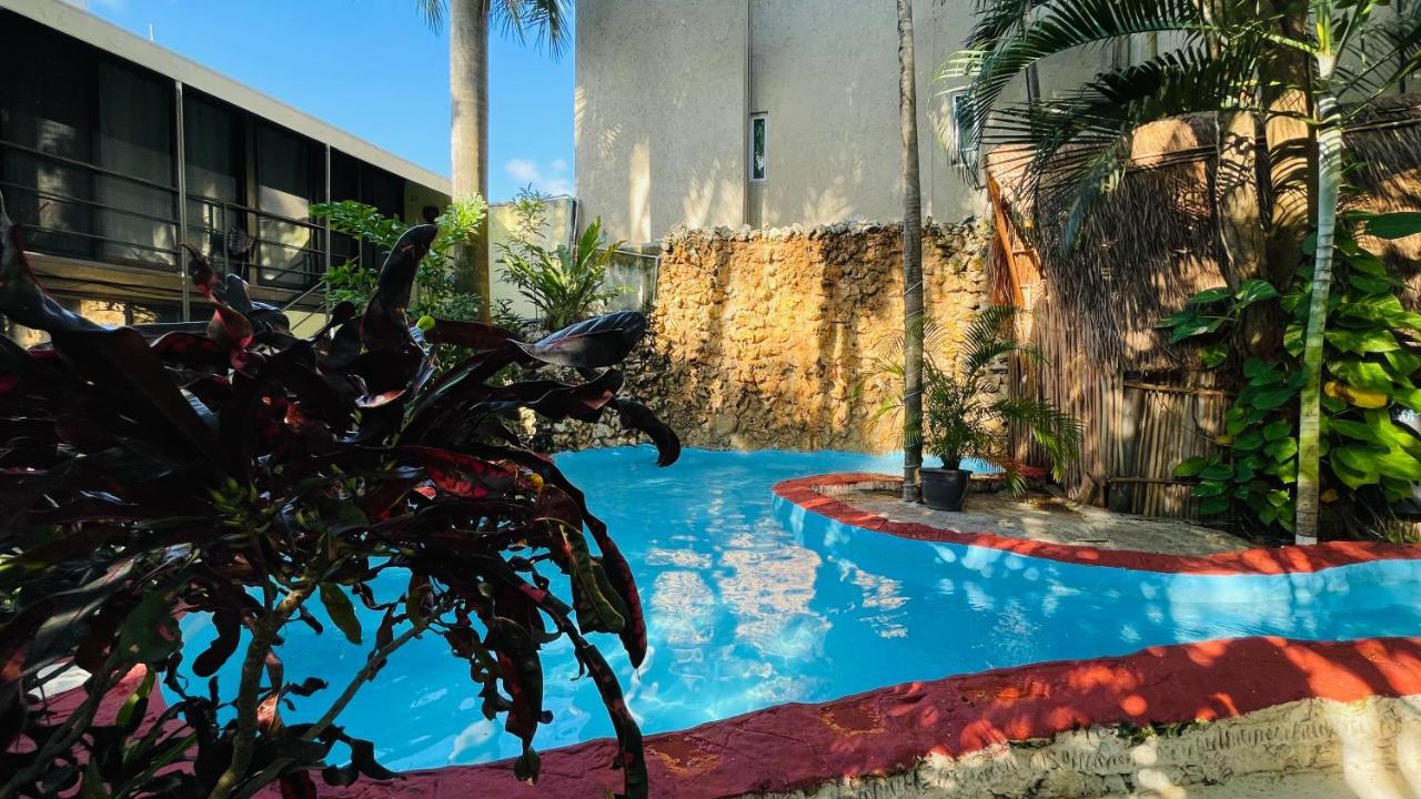 Hotel B&B - 5Th Avenue Playa del Carmen Eksteriør billede The pool at the hotel