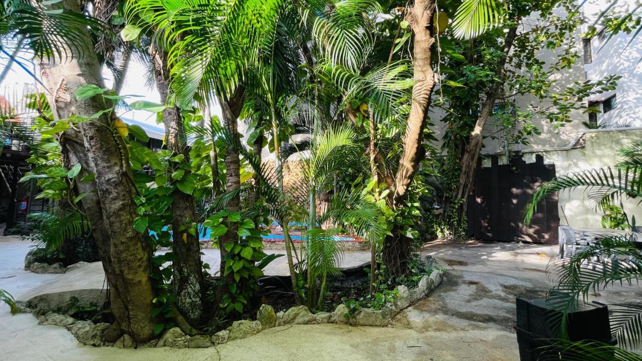 Hotel B&B - 5Th Avenue Playa del Carmen Eksteriør billede The Jungle