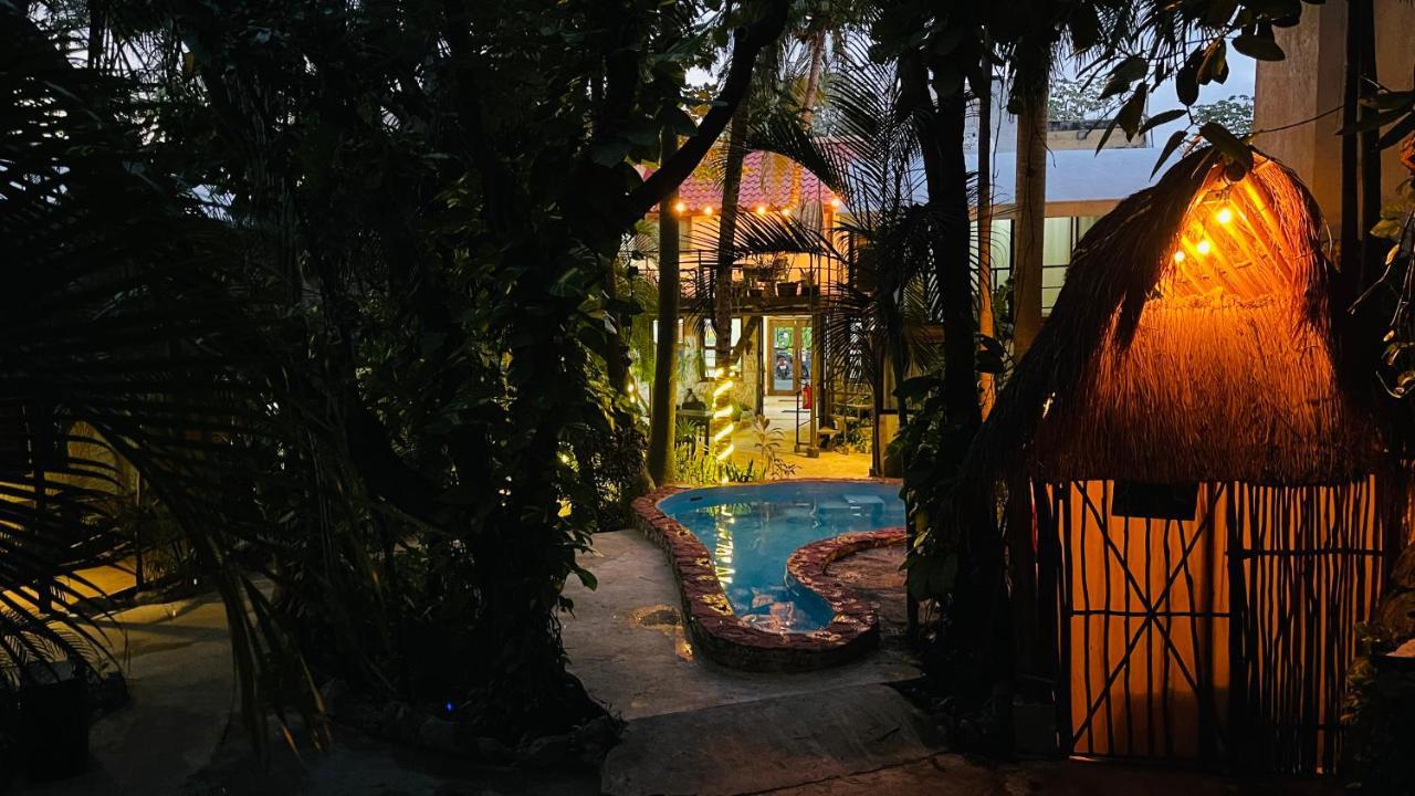 Hotel B&B - 5Th Avenue Playa del Carmen Eksteriør billede The swimming pool at the hotel