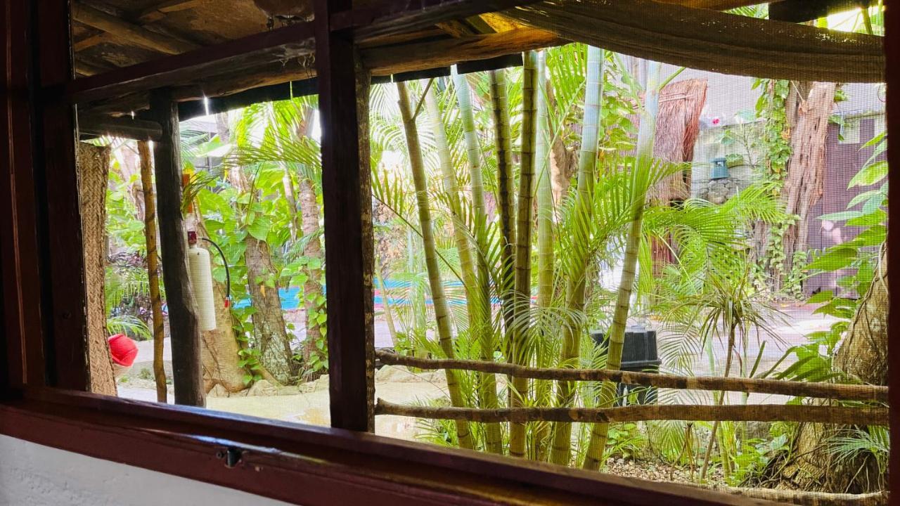 Hotel B&B - 5Th Avenue Playa del Carmen Eksteriør billede Bamboo forest at the zoo