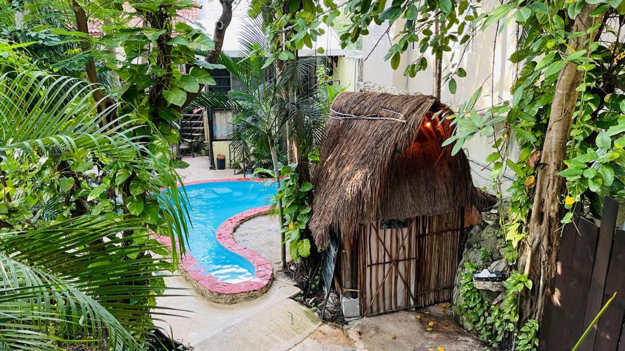 Hotel B&B - 5Th Avenue Playa del Carmen Eksteriør billede A cenote in Tulum, Mexico