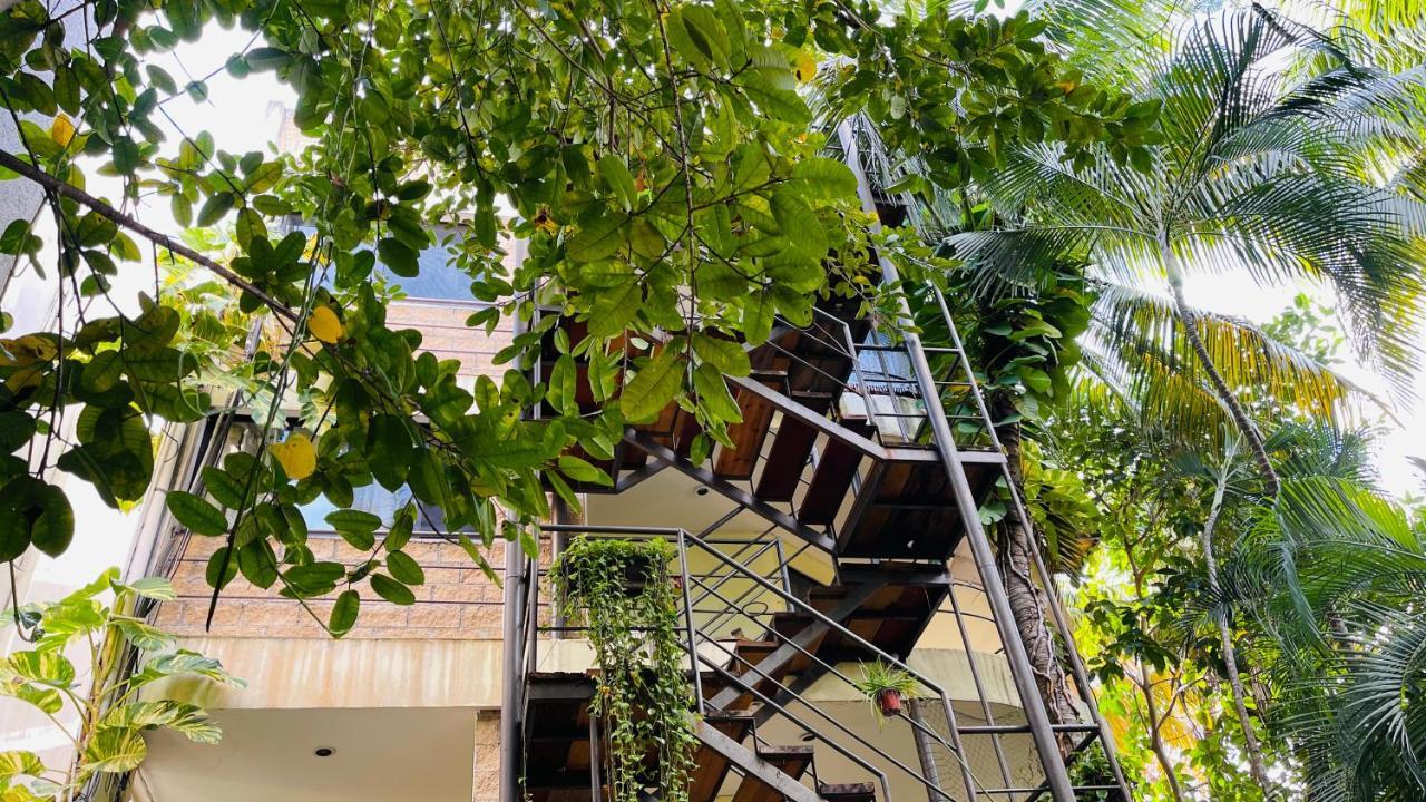 Hotel B&B - 5Th Avenue Playa del Carmen Eksteriør billede The staircase