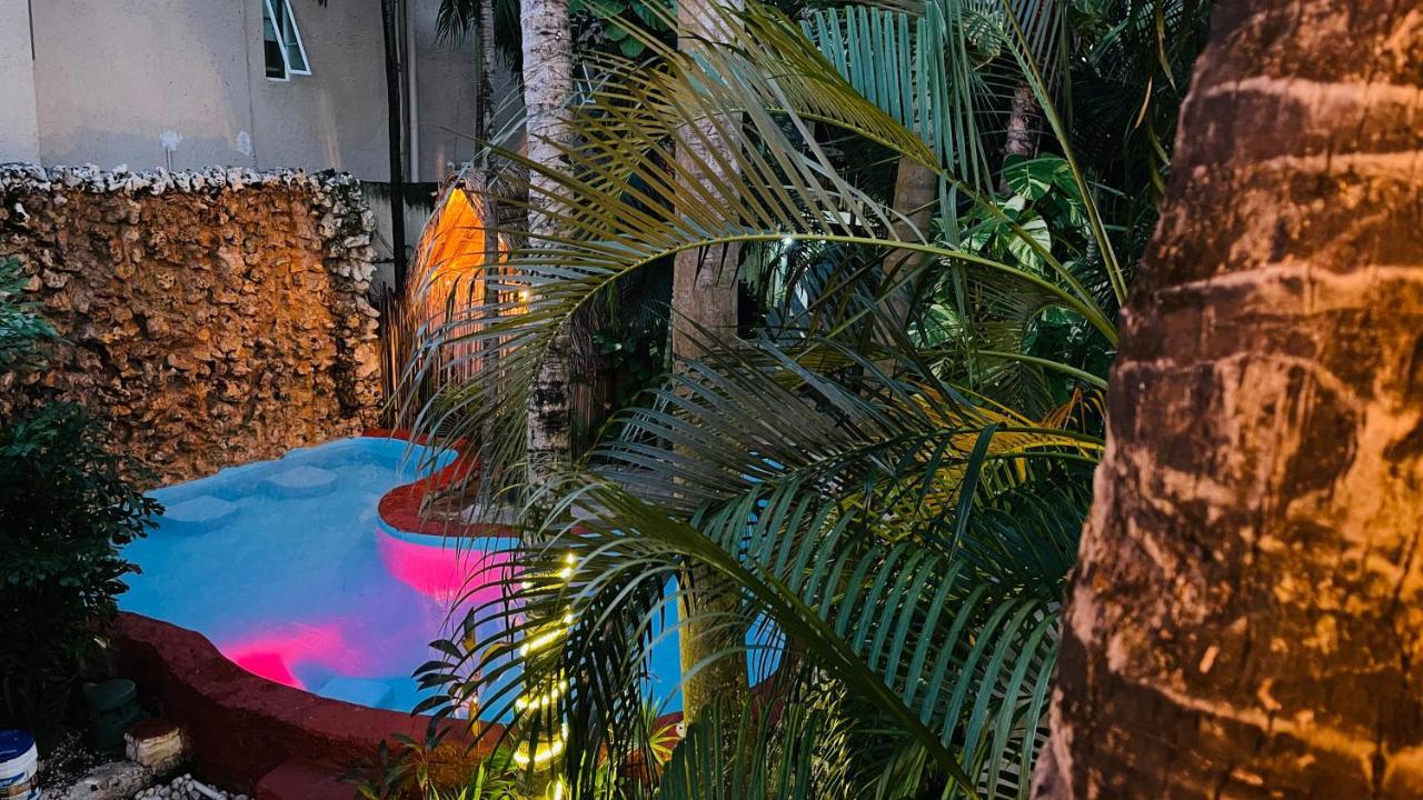 Hotel B&B - 5Th Avenue Playa del Carmen Eksteriør billede The pool at the 2019 edition of the festival