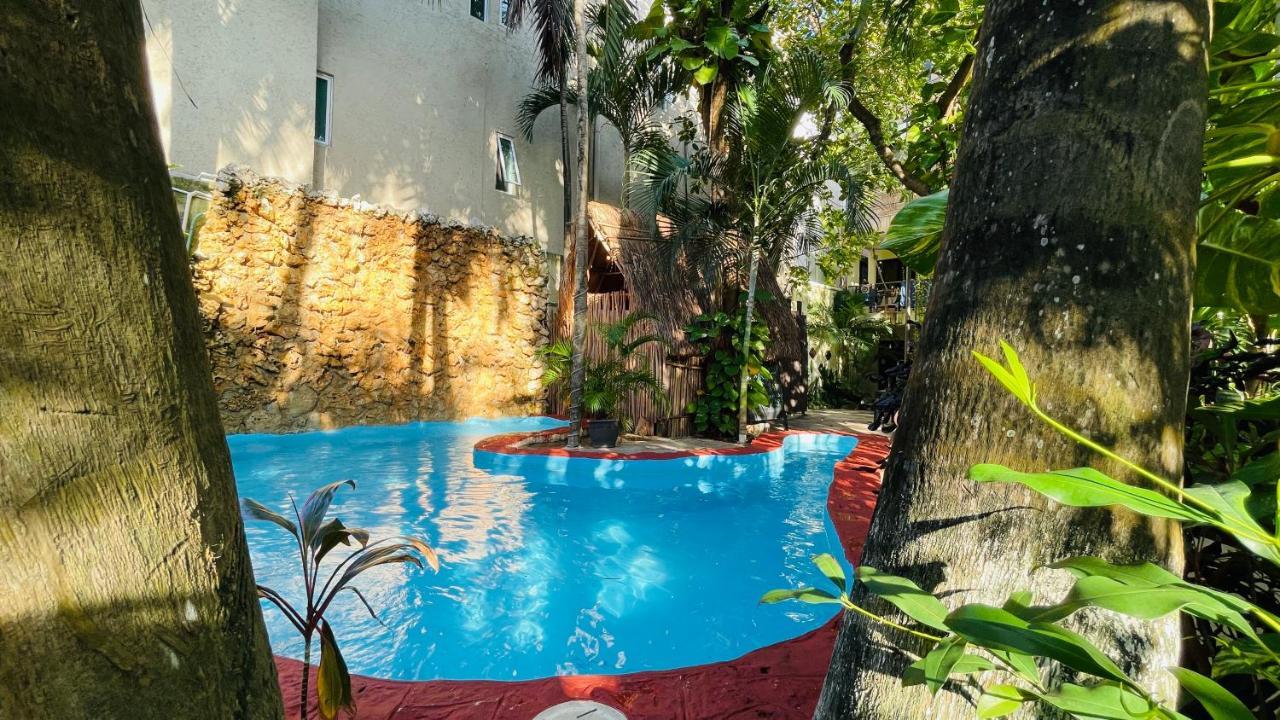 Hotel B&B - 5Th Avenue Playa del Carmen Eksteriør billede The swimming pool at the hotel