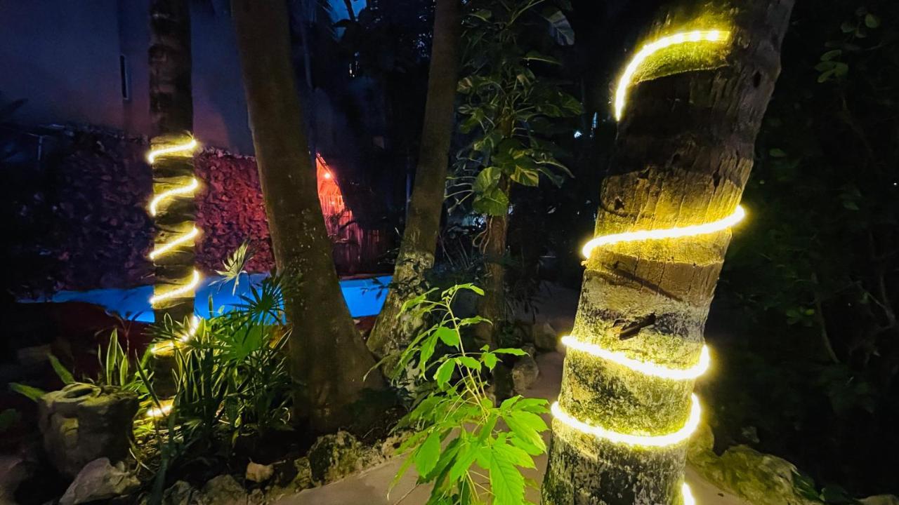 Hotel B&B - 5Th Avenue Playa del Carmen Eksteriør billede The resort at night
