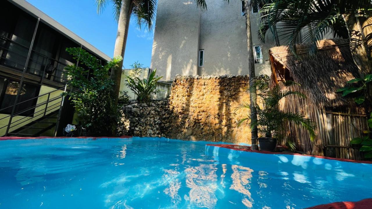 Hotel B&B - 5Th Avenue Playa del Carmen Eksteriør billede The swimming pool at the hotel